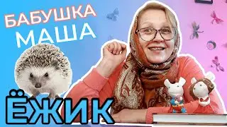 Ёжик | Животные для детей | Развивающее видео для детей | Видео для детей | Бабушка Маша