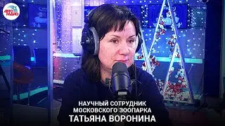 🐰Кролики: стоит ли дарить, чем питаются, сколько мебели сгрызают, можно ли приучить к лотку