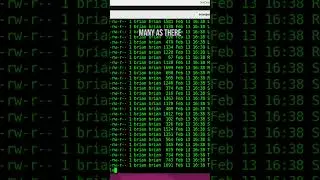 Linux Bash Shell Pipes 