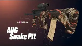 CS:GO | AUG - Snake Pit