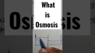 what is osmosis | movement of water through semi permeable membrane