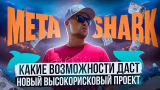 Разбираю презентацию проекта MetaShark | Как можно заработать в хайпе (hyip) | 40plus