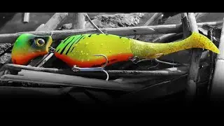 Headbanger Shad 11 - Introduction