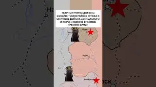 КУРСКАЯ БИТВА: ИСТОРИЯ В МЕМАХ И КОТИКАХ 