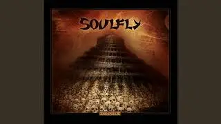 TOUCHING THE VOID (soulfly vocal cover)