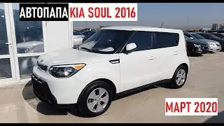 АВТОПАПА. KIA Soul 2016 из Грузии #Авторакета