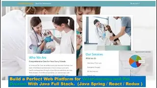 Building a Platform for Veterinarians and Pet Owners - Spring Boot | React  / Redux