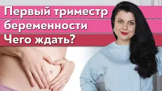 «Я беременна! Что дальше?» / Как протекает первый триместр беременности?