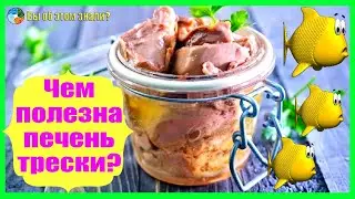 Чем полезна печень трески?