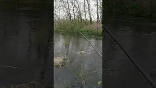 Щука на силікон 