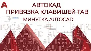 AUTOCAD. Автокад, привязка клавишей TAB