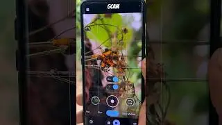 GCAM #gcam #googlecamera #shortvideo #viralvideos