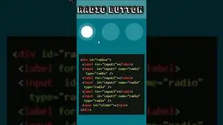 Input Radio Button | HTML CSS 