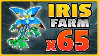 ALL 65 IRIS  FLOWER  !!!   (SPEEDRUN ROUTE) |  Wuthering waves