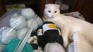 Покупки и планы(октябрь)