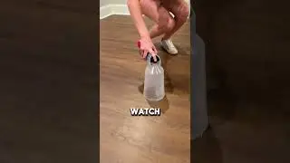 How To Easily Get Rid Of Cockroach Infestation (📸: trapdbugs)