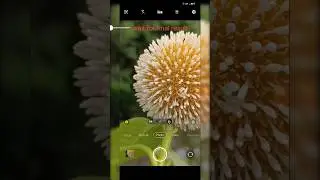 Mobile 📷 photography Vivo V25 pro Camera Photoshoot #viral #shorts #reels #trend #shortsfeed