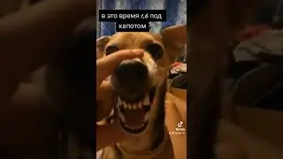 8 марта 2022 г.
