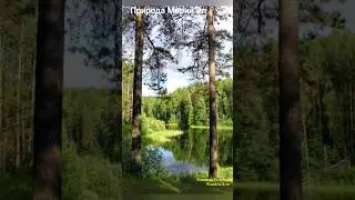 #андрейординарцев #природапрекрасна #природароссии  Природа Марий Эл.