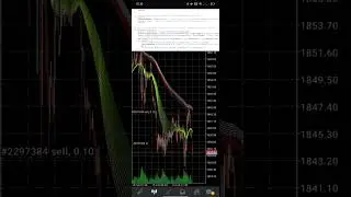 INI BARU YANG DINAMAKAN MORNING STAR ! | Cara Menghasilkan Uang dari Internet Dengan Cepat dan Mudah