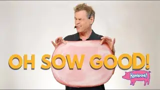 HamWow - Official Shamwow Spoof with Vince Offer