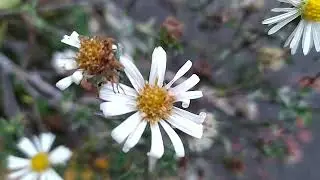 Солнечно и морозно