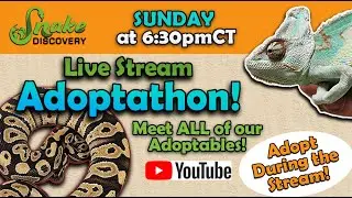 Adoptathon- November 5, 2023!