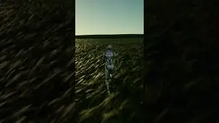 Realistic Procedural Grass Prototype - Unreal Engine 5 - WIP