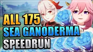 ALL 175 Sea Ganoderma Locations EFFICIENT & FAST ROUTE Genshin Impact Yae Miko Kazuha Ascension Mats