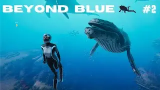 Beyond Blue Part 2: Finding the Scary Noise