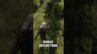 Ведьмак 3 интересная деталь