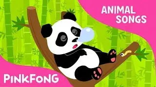 Ni Hao Panda | Panda | Animal Songs | Pinkfong Songs for Children