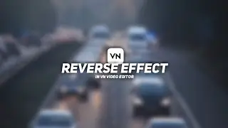 Reverse effect in VN video editor