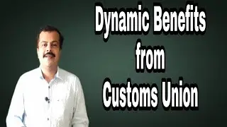 Dynamic Benefits from Customs Union