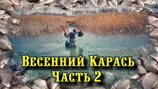 Весенний карась  Часть 2  Мега клев по мега плохому льду