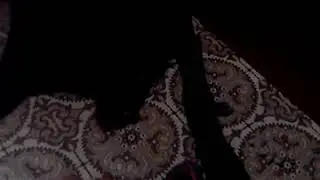 канадский волчонок дает лапу  