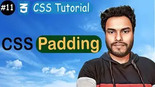 #11 Padding in CSS | Mastering Shorthand Padding Property | CSS Tutorial