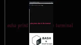 Bash scripting beginner shebang and random number #beginner  #lesson #bash #bashscripting