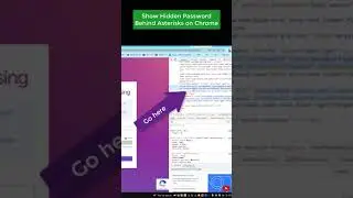 How to Show Hidden Password Behind Asterisks on Chrome 