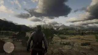 RDR 2, ДО ЧЕГО СОЗДАЛИ ОПИСАНИЕ НЕ ПОЙМУ?