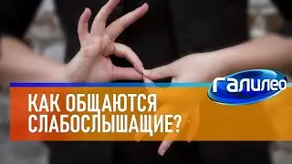 Галилео 🧏‍ Как общаются слабослышащие?