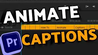 How To Animate Captions in Adobe Premiere Pro CC (2023)