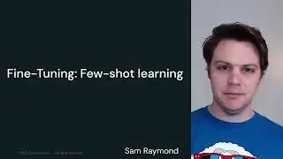 LLM Module 4: Fine-tuning and Evaluating LLMs | 4.4 Fine Tuning: Few-shot Learning