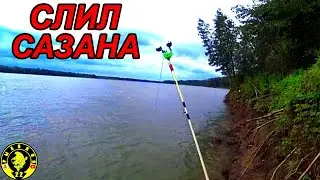 Слил сазана! Отдых и рыбалка с сыновьями в Сузуне.