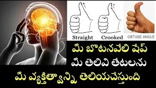 మీ బొటనవేలి షేప్ మీ తెలివిని వ్యక్తిత్వాన్నిsubconcious Mind Techniques Shocking Facts of Our Brain