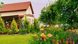 САД ВПЕЧАТЛЕНИЙ 🌿🌸Приглашаю на Душевную Прогулку! Палитра Июля #garden #сад #цветы