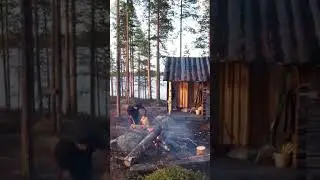 ВЫЖИВШИЙ. ОДИН НА ОСТРОВЕ. ИЗБА ТАЙГА