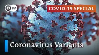 How to stop the spread of new coronavirus variants? | COVID-19 Special