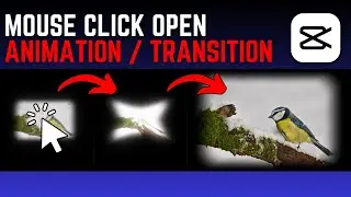 How To Add Mouse Click Open Animation Transition + FX Sound Effect in Capcut