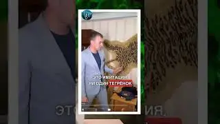 🐅Шкура тигра на стіні в квартирі 